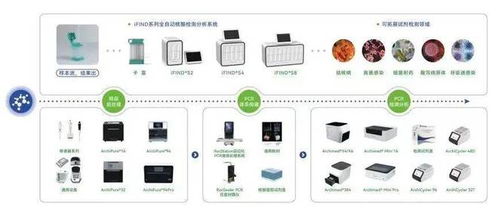 創(chuàng)新突破 載譽(yù)而歸 昌發(fā)展生態(tài)企業(yè)用佳績(jī)迎賀春節(jié)